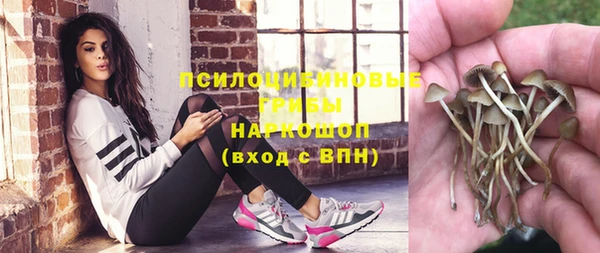 прущая мука Алексин
